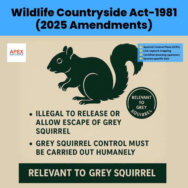 wildlife countryside act 1981