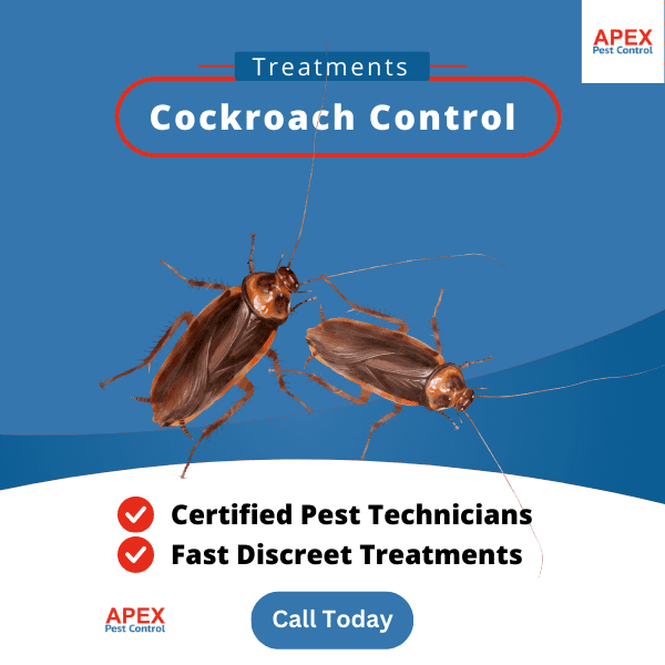 Cockroach control, german roaches and insects pest control.