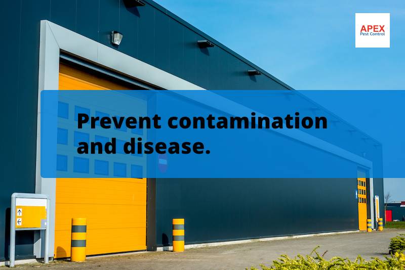 integrated pest management