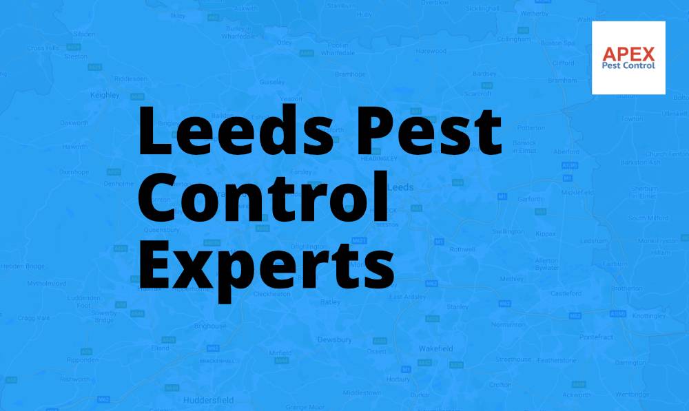 pest services Leeds