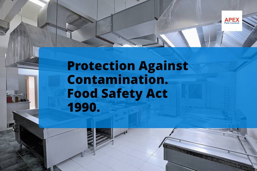 hotel pest control services