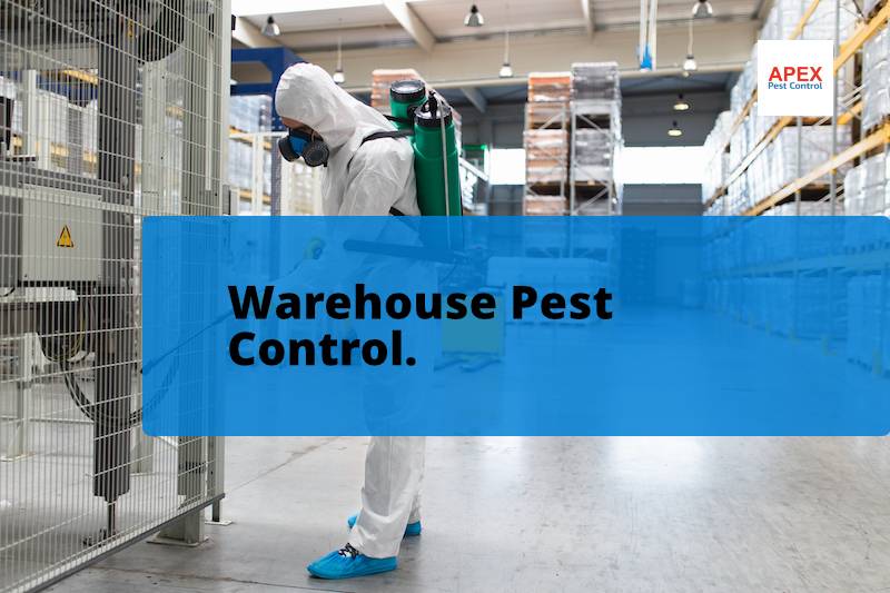 commercial pest control
