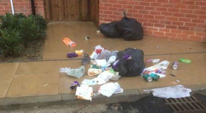 Rubbish on the ground | Fox control Kent