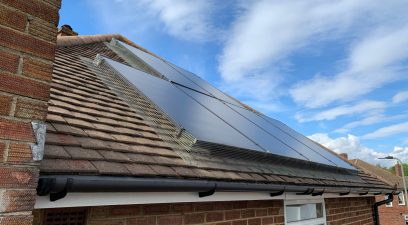 bird proofing solar panels | Bee swarm removal Kent
