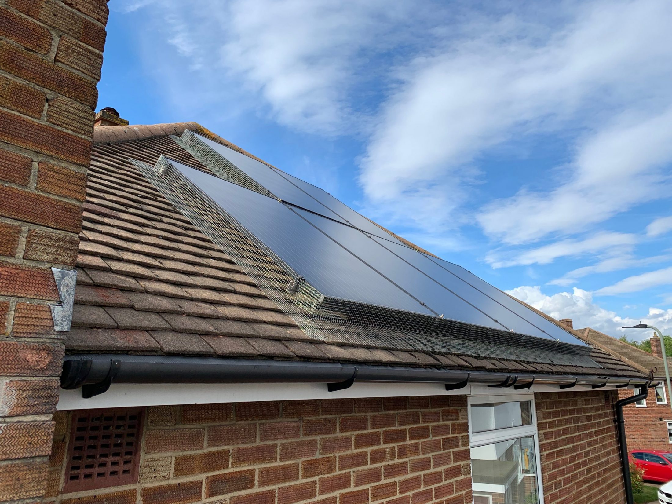 bird proofing solar panels | Bee swarm removal Kent