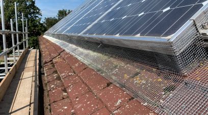 bird proofing roof | Maidstone Rodent, Bird & Insect Removal