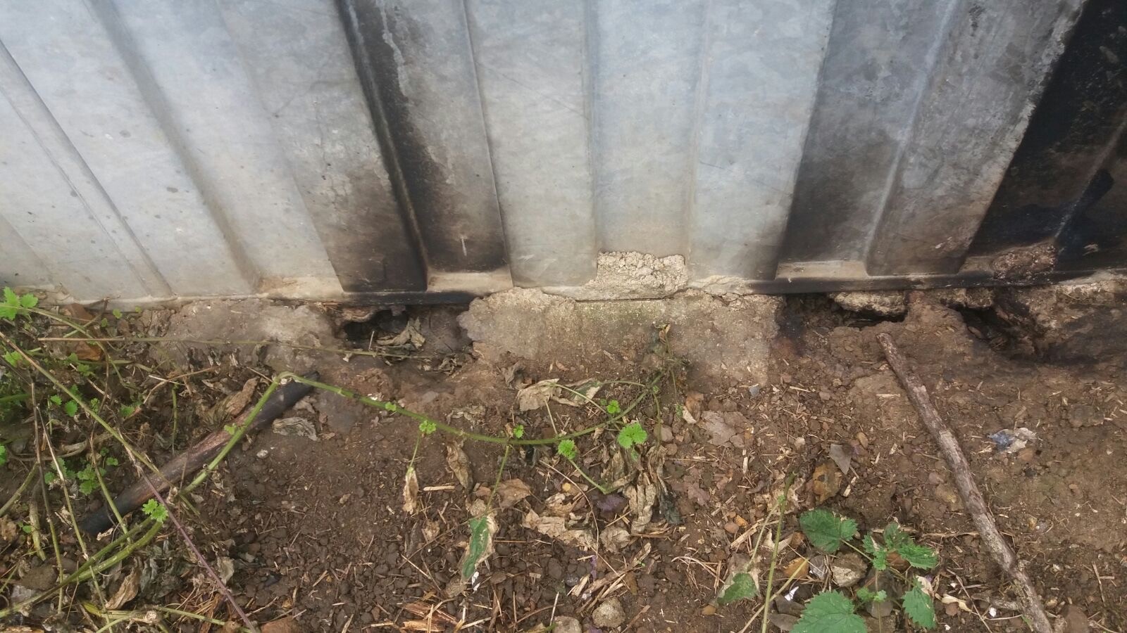 holes in soil | Pest Control Tonbridge