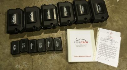 rodent traps | Wasp nest removal Maidstone