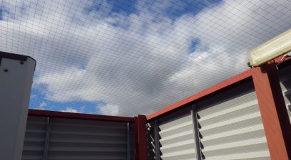 bird proofing | Pest Infestation Maidstone