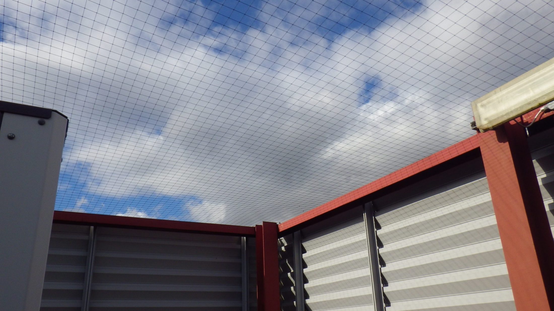 bird proofing | Pest Infestation Maidstone