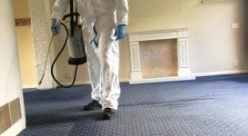 flea-treatment | Pest Control Medway