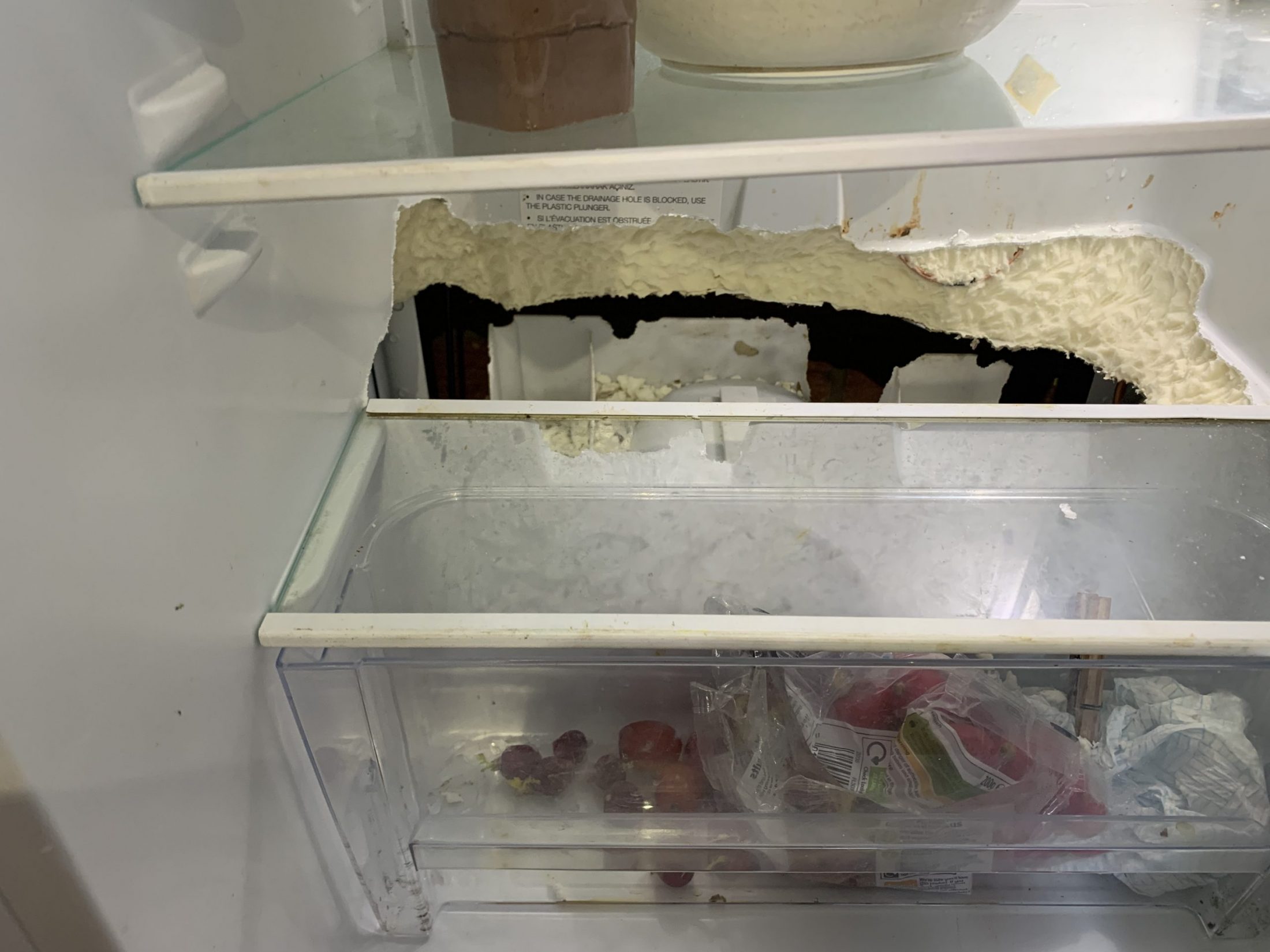 Rats In The Kitchen • Rat Control and Removal • Pest Control in Maidstone