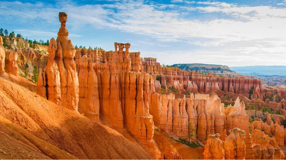canyon stockists uk