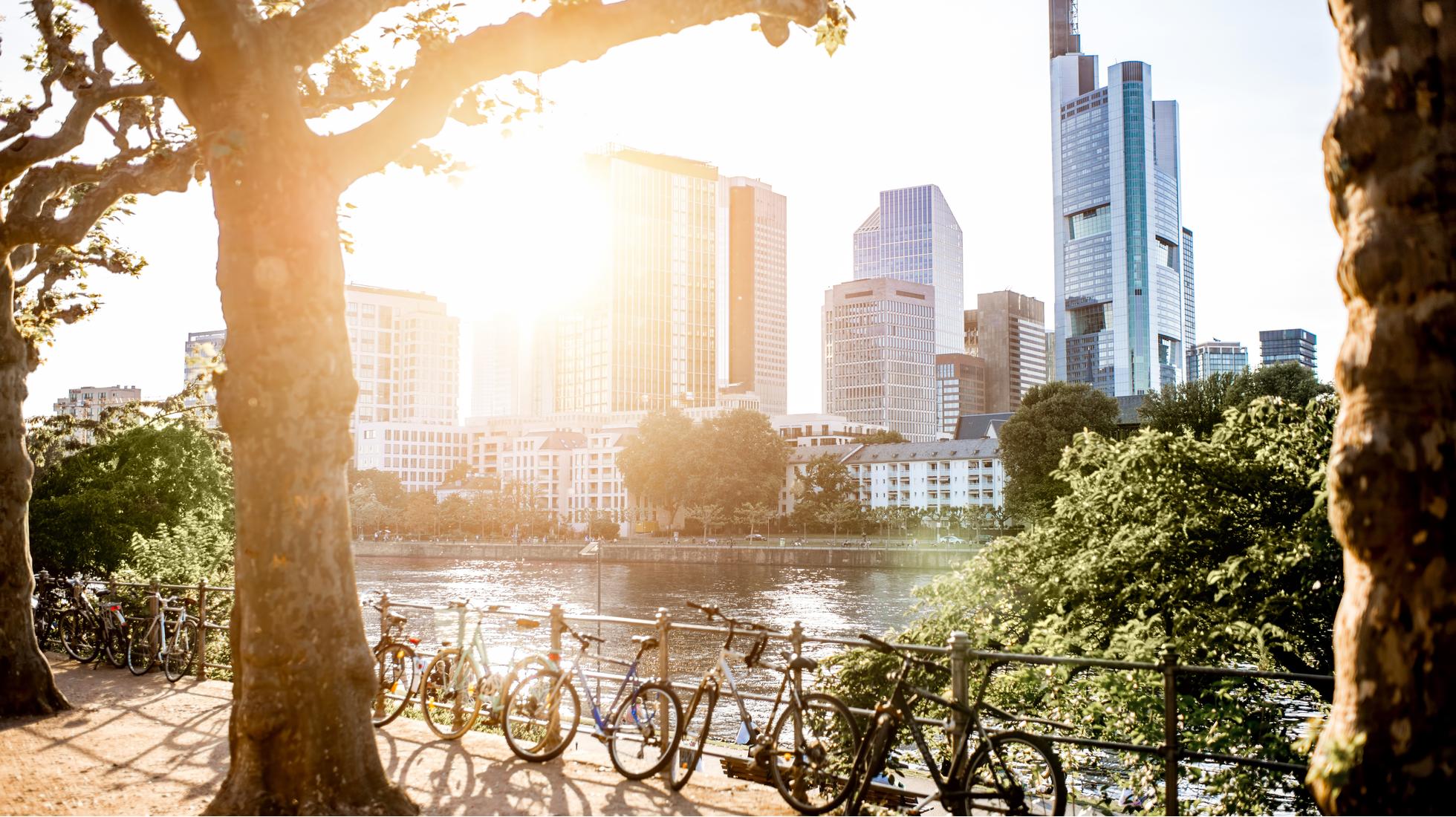 Single events frankfurt main