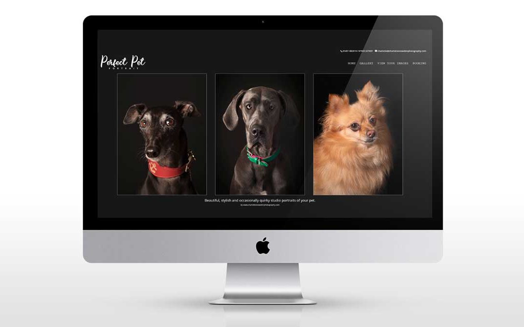 Perfect Pet Portrait by Charlotte Snowden