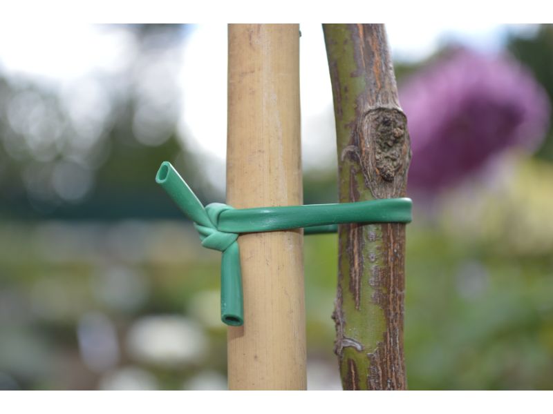 Plant Tying Tube From Beardsworths
