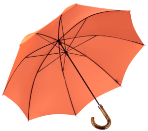 menswear-accessories-walking-umbrella-orange-1 Cad & The Dandy Walking Umbrella in Orange