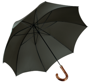 menswear-accessories-walking-umbrella-racing-green-1 Cad & The Dandy Walking Umbrella in Racing Green