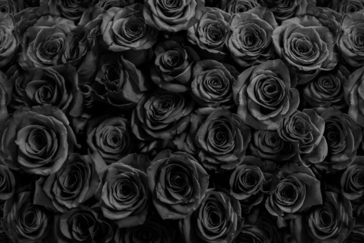 dark-romance-valentines-gifts_hero-desktop_CM-website-e1580919901542
