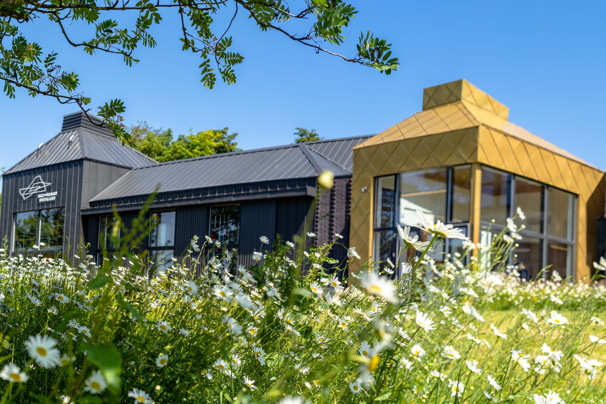 From Ancient Roots to Liquid Gold: The Story of Raasay & Its Distillery