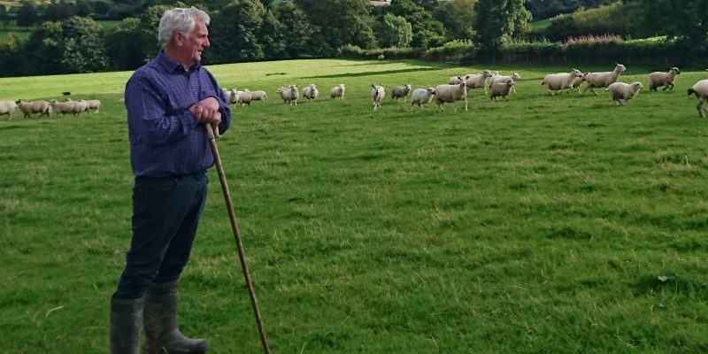Welsh government single farm payment