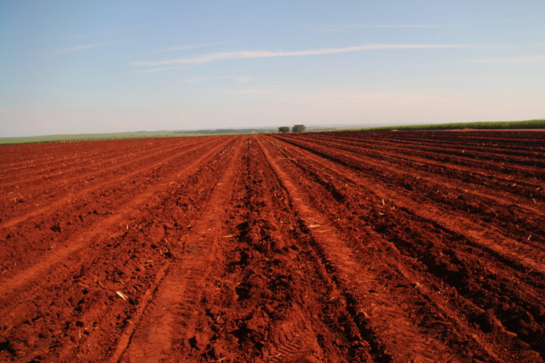 6 things you need to know about Brazilian agriculture Agriland.co.uk