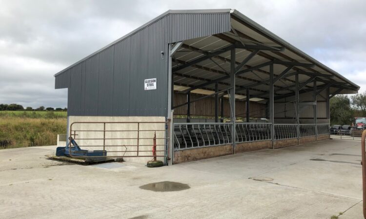 buildings: is your shed up to scratch for housing cattle