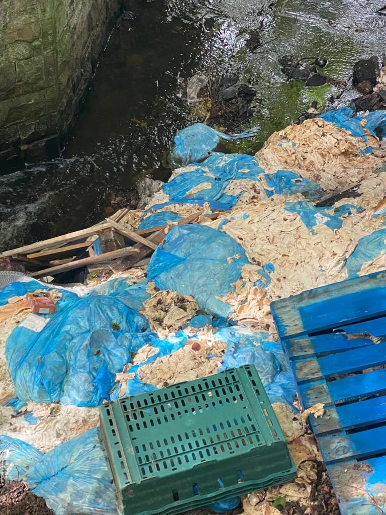 2t of meat waste dumped in Lanarkshire burn Agriland.co.uk