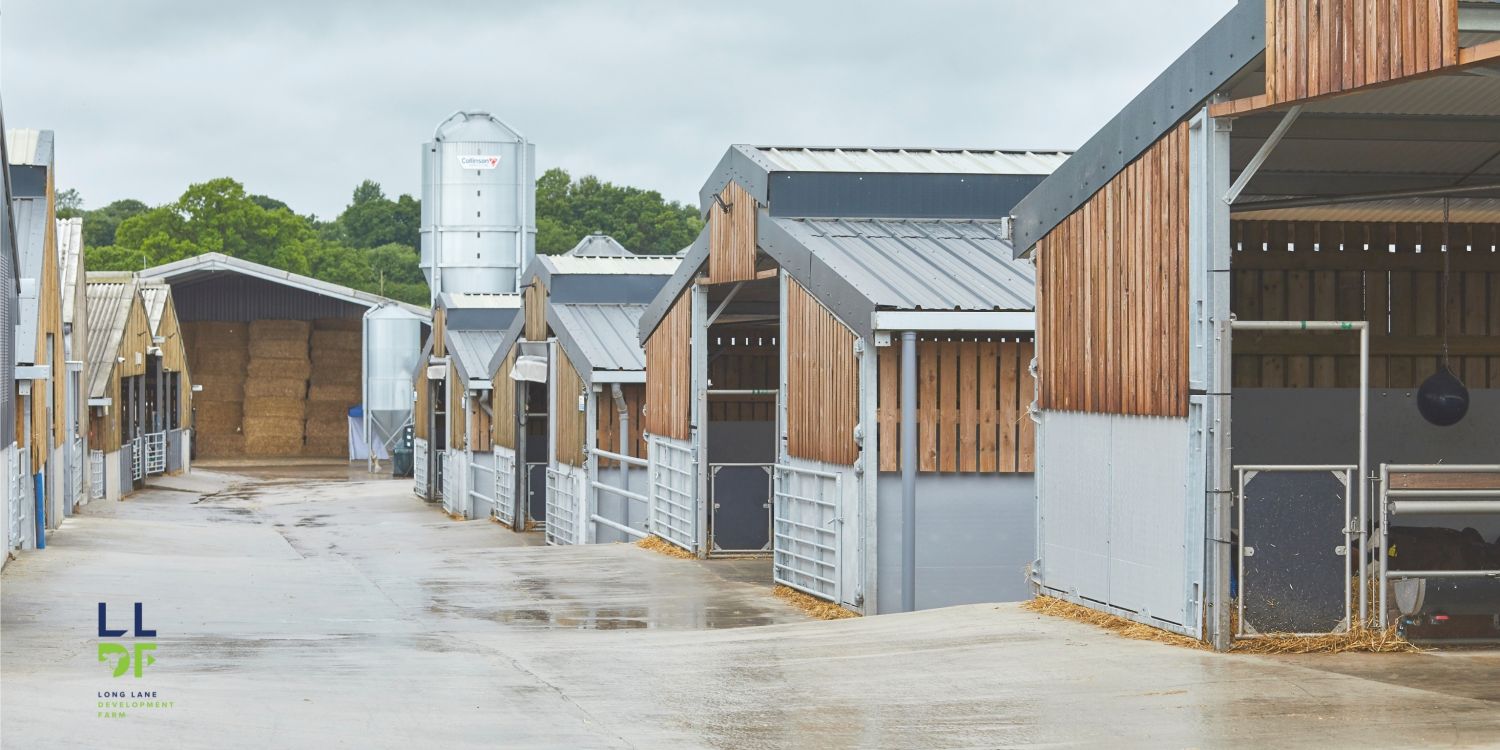 Long Lane Development farm
