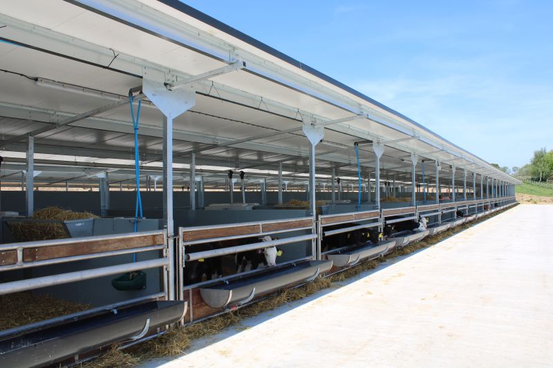 HHU Ashgrove