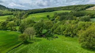 DJI 20250118164248 0334 D