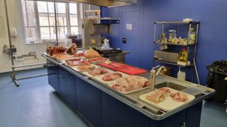 Buitelaar meat butchery2