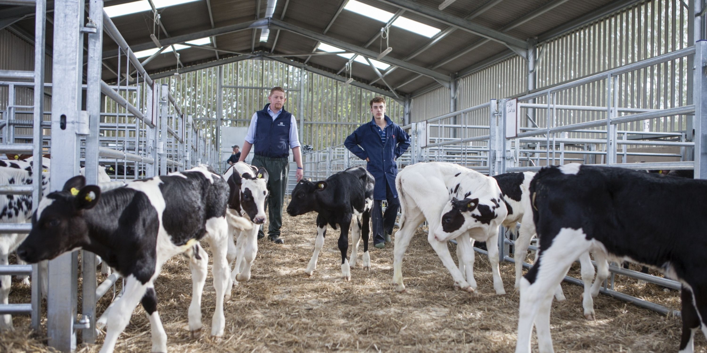 Collection Centres Buitelaar