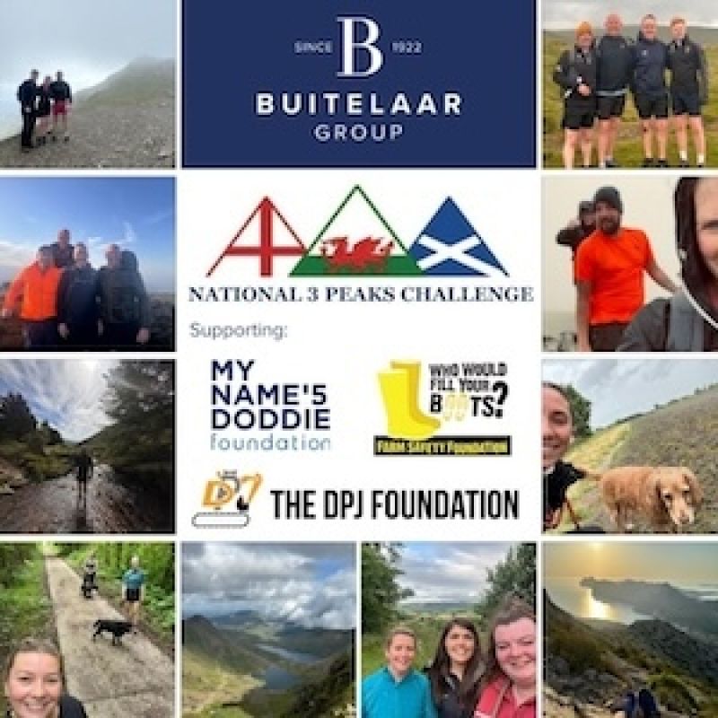 3 Peaks