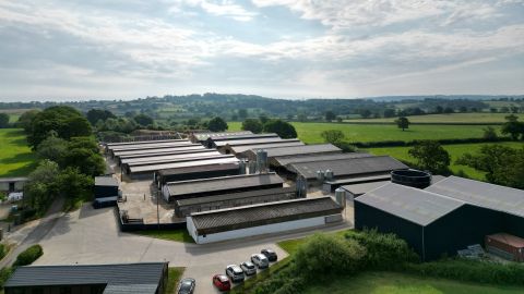 Dji fly 20250513 085740 16 1747123589357 photo