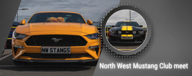 North West Mustang Car club meet