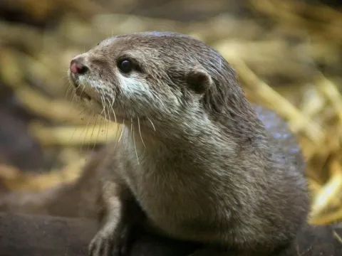 Lakes aquarium facebook 05