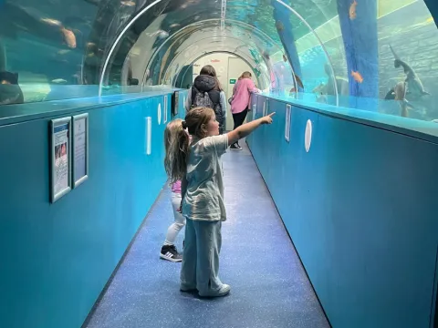 Children enjoying the Lakes Aquarium
