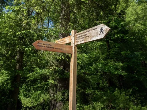 Cross lakes inline 01 footpath sign