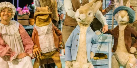 Banner image 4