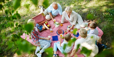 The Best Family Picnic Spots to Visit by Boat This Summer