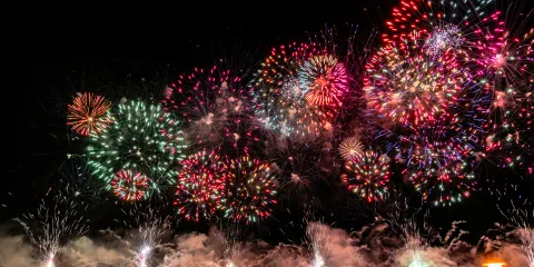 Banner image 2