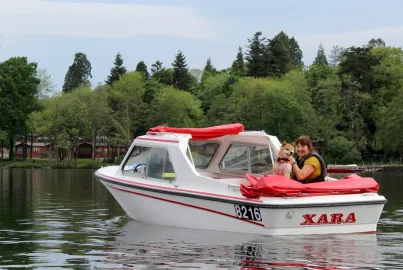 A self-drive electric hire boat with a dog on board
