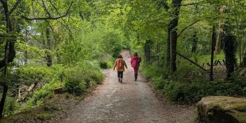 Walkers coming to Ash Landing pier