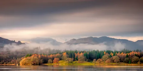 Misty autumn mornings