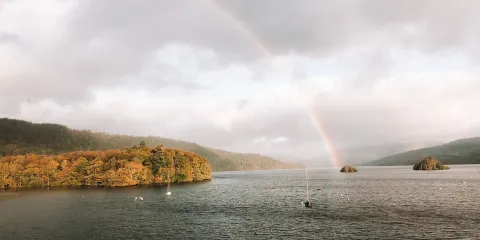 Golden leaves and rainbows