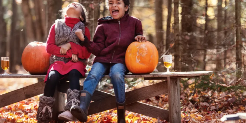 What's on in and around Windermere this autumn