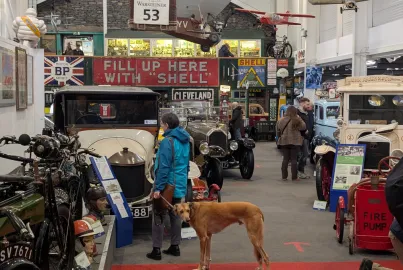 The museum is dog friendly