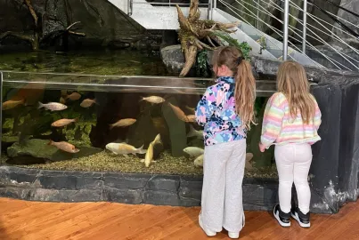 Lakes Aquarium