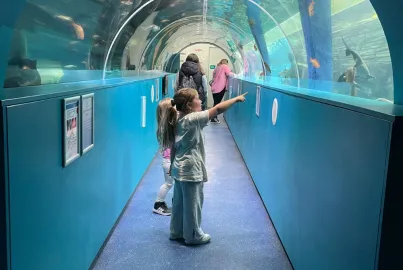 Lakes Aquarium